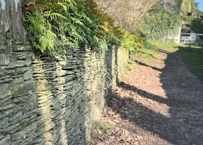 Maison 4 Pres D Angers Et A 500 M De La Loire Prázdninový dům