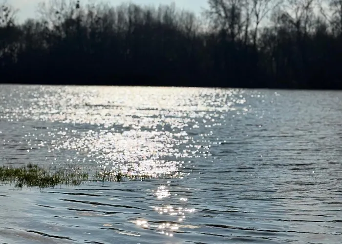 Prázdninový dům Maison 4 Pres D Angers Et A 500 M De La Loire *