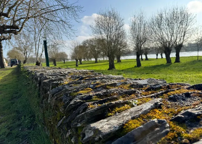 Maison 4 Pres D Angers Et A 500 M De La Loire Prázdninový dům *